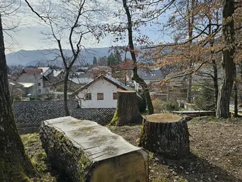 Zahvala Infrastrukturi Bled Zahvala Infrastrukturi Bled