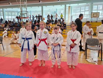 20. Pokal Rogaške Slatine