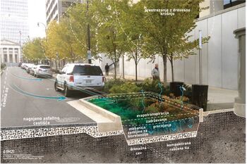 Modro-zelena prihodnost: da nas nalivi ne bodo več presenetili