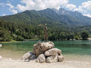 Izletniške ideje po prelepi deželi Izletniške ideje po prelepi deželi