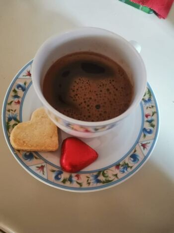 Grm z opojnimi plodovi in pasja roža Grm z opojnimi plodovi in pasja roža