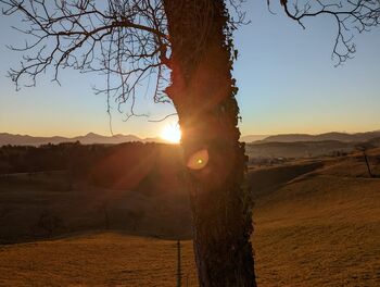 Popolni v nepopolnosti 