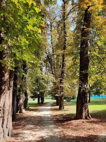 Kaj nam imajo za povedati? 