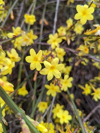 Ko se začne prebujati narava in zadiši po pomladi 