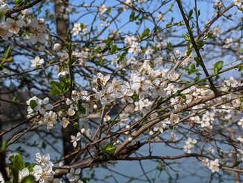 Ko se začne prebujati narava in zadiši po pomladi 