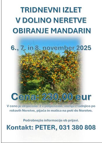 Tri dnevni izlet v dolino Neretve - obiranje Mandarin