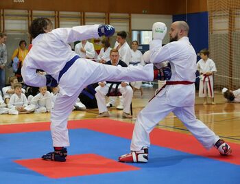 Vpis v Klub borilnih veščin Sevnica Vpis v Klub borilnih veščin Sevnica