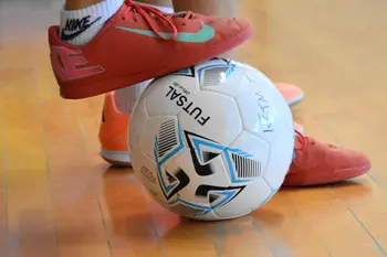 Začela se je Lisičkina liga osnovnih šol v občini Sevnica