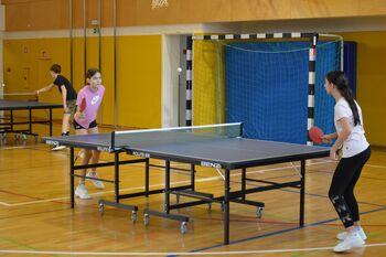 Šolski šport - namizni tenis