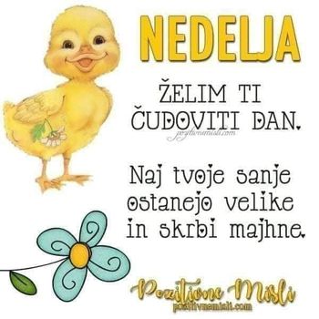 Člani ILCO društva in ostali