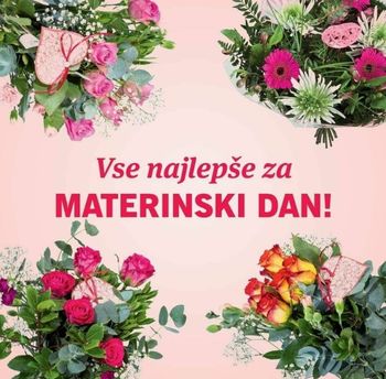 Člani ILCO društva