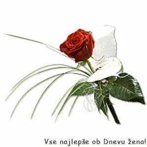 Redno mesečno srečanje članov ILCO društva