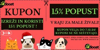 Sterilizacija mačk - preprečite prenapolnjena zavetišča in zagotovite zdravo prihodnost