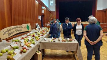 Ekološko kmetovanje potrebno približati že mladim - Praznovanje 25 letnice delovanja Združenja ekoloških kmetov Zdravo življenje