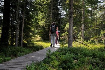 Botanično vodenje po barju Goreljek z biologinjo JZ Triglavski narodni park