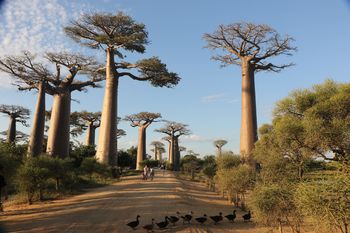 Štala na Ranču Mrcina: Madagaskar, Renata in Matjaž Maček – potopisno predavanje