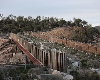 Otvoritev razstave zmagovalca javnega razpisa OKO 2025, Alexa Kemmana; Zeleno ožilje Evrope