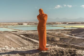 Voden ogled razstave Litijeve sanje z umetnico Liz Miller Kovacs