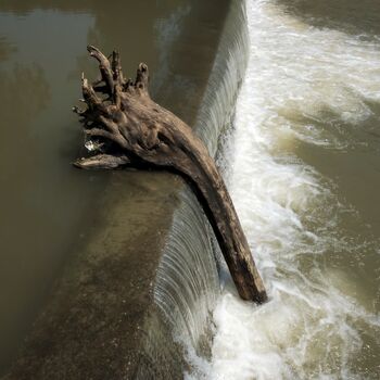 Voden ogled razstave Janja z umetnikom Mitar Simikić