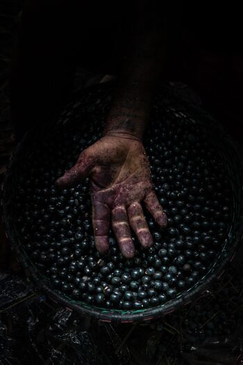 Voden ogled razstave V imenu dobrega počutja z umetnikom Karlom Mancinijem