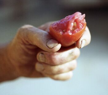 Voden ogled razstave Riturné z umetnikom Mauro Curti