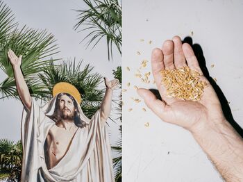 Voden ogled razstave Caimi, Jean-Marc & Piccinni, Valentina – Tropicalia