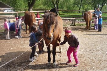 Ranč Mrcina – program za otroke