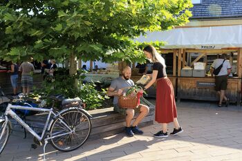Predfestivalska tržnica: prodaja sadik iz šolskega rastlinjaka