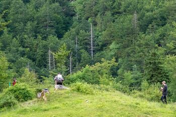 EKOLOŠKI KONCERT ANIMOTMUZIK (Bos Taurus) + predavanje z Lucijo Gartner