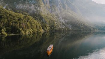 Harmonija vode, gozda in melišč, botanično vodenje po severni obali Bohinjskega jezera z dr. Petrom Skobernetom