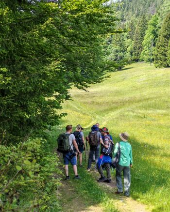 Botanični izlet po Gorjušah z dr. Petrom Skobernetom