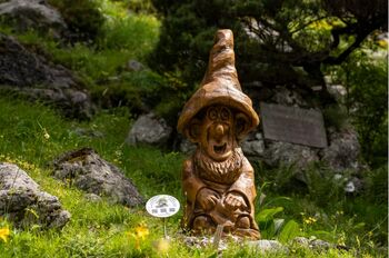 Izlet v Alpski botanični vrt Juliana v Trenti za družine