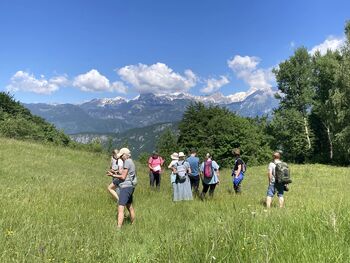 Vijugamo med cvetlicami, voden botanični izlet po travnikih Koble s Polono Strgar