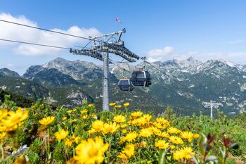 Botanični izlet po smučišču Vogel z dr. Petrom Skobernetom 