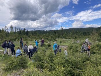 Vodenje po Jelovici z gozdarko Brigito Oblak