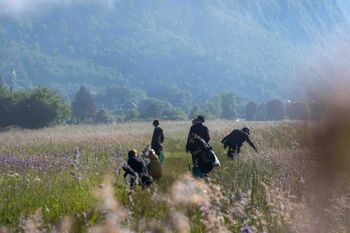 Zvočni sprehod: Poslušanje s travniki z Ireno Pivka