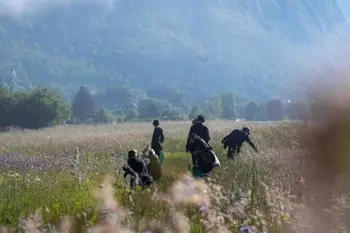 Zvočni sprehod: Poslušanje s travniki z Ireno Pivka