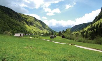 Z metulji v zelenem! Botanično-metuljarski izlet po dolini Voje s Stanislavom Čičerovom