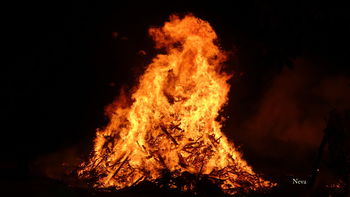 Majski utrinki v Vrtovinu