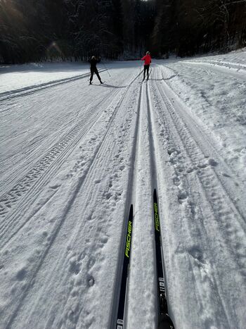 300 prostovoljnih ur za skoraj kilometer veselja