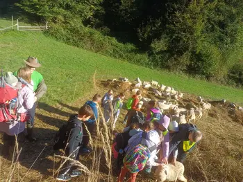 Okusi Trebnje – regenerativna kmetija Zeleni pašnik