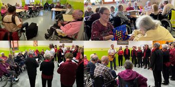 Harmonija novembra v našem domu