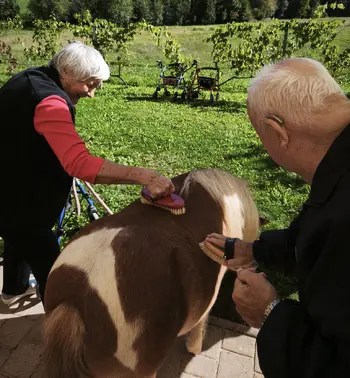Ko nas obiščejo nasmehi, glasba in štirinožni prijatelji