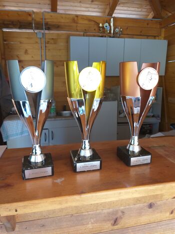 Tekmovanje v balinanju