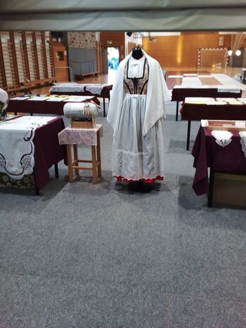 Društvo Univerza za tretje življenjsko obdobje Vransko – Vezilje Snežinke Društvo Univerza za tretje življenjsko obdobje Vransko – Vezilje Snežinke