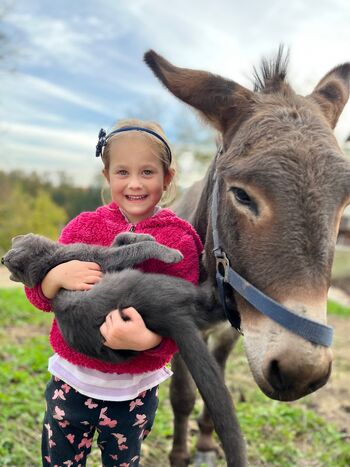 Zimske delovne počitnice na Kmetiji Pr Klobučar