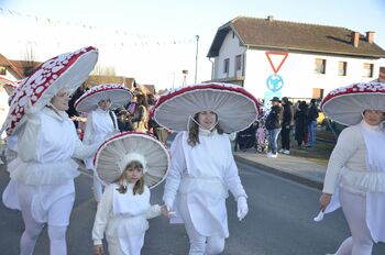 Ludi, pujte hco – 34. CIRKOVŠKI FAŠENK Ludi, pujte hco – 34. CIRKOVŠKI FAŠENK