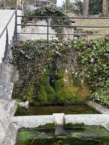 Projekt OŠ Bled: nestrokovnost, zavajanje in ignoranca