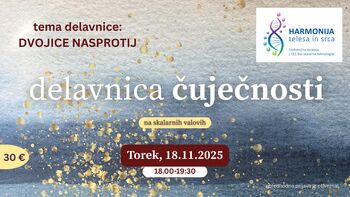 DELAVNICA ČUJEČNOSTI na temo: DVOJICE NASPROTIJ