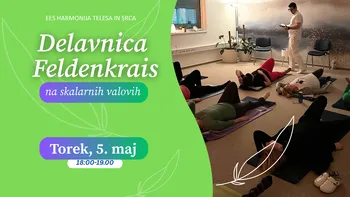 Delavnica Feldenkrais na skalarnih valovih